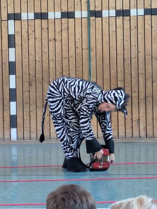 kleines Zebra- Verkehrserziehung Bild 6